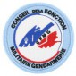 Ecusson Conseil de la Fonction Militaire de la Gendarmerie