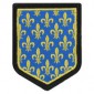 Ecusson forme blason | Etat Major Gendarmerie Mobile Ile de France