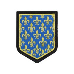 Ecusson forme blason | Etat Major Gendarmerie Mobile Ile de France