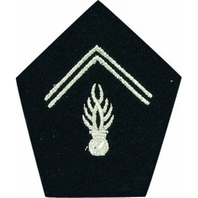 Ecussons de col Gendarmerie