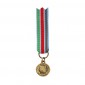Médaille ordonnance | Médaille ONU UNPROFOR Yougoslavie