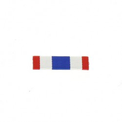 Barrette Dixmude Protection Militaire du Territoire