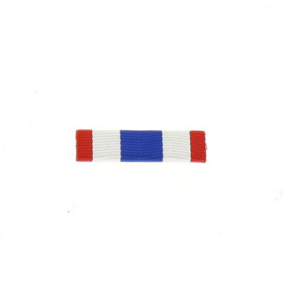 Barrette Dixmude Protection Militaire du Territoire