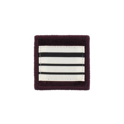 Galon de Poitrine Souple Commandant Vétérinaire Sapeurs Pompiers