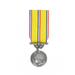 Médaille d'ancienneté des Sapeurs Pompiers Argent 20 ans