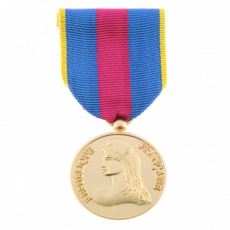 Médaille Ordonnance Réservistes Volontaires Défense et Sécurité intérieure Or