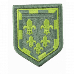 Ecusson Gendarmerie Centre basse visibilité