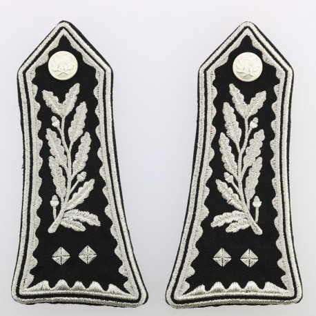 Patte d'épaule Contrôleur Général Police Nationale