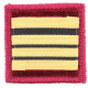 Galon de Poitrine Souple Commandant Médecin Sapeurs Pompiers