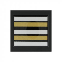Galon de Poitrine Plastifié Lieutenant Colonel Sapeurs Pompiers