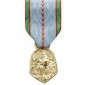 Médaille ordonnance | Médaille Médaille Commémorative 39-45
