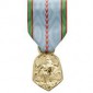 Médaille Commémorative 39-45 ordonnance