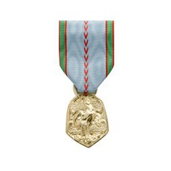Médaille Commémorative 39-45 ordonnance