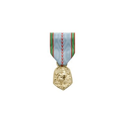 Médaille Commémorative 39-45 ordonnance