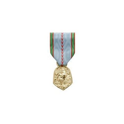 Médaille ordonnance | Médaille Médaille Commémorative 39-45