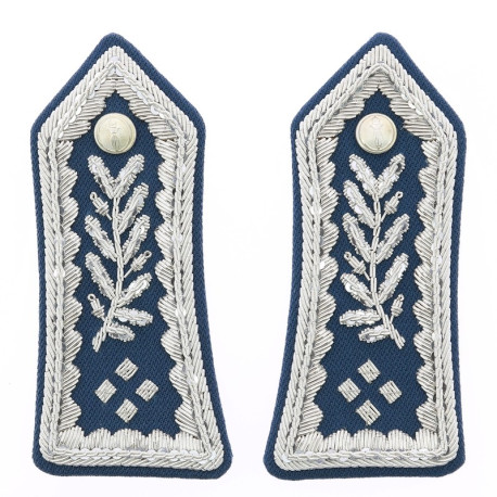 Patte d'épaule CRS Directeur des Services