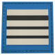 Grade de poitrine gomme Directeur Police Municipale