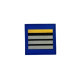 Grade de poitrine gomme Directeur Stagiaire Police Municipale