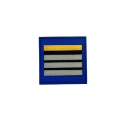 Grade de poitrine gomme Directeur Stagiaire Police Municipale
