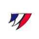Insigne de Calot | Police Nationale