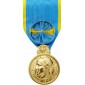 Médaille Jeunesse et Sport Or